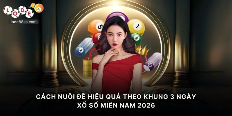 Cách nuôi đề hiệu quả theo khung 3 ngày xổ số miền Nam 2026