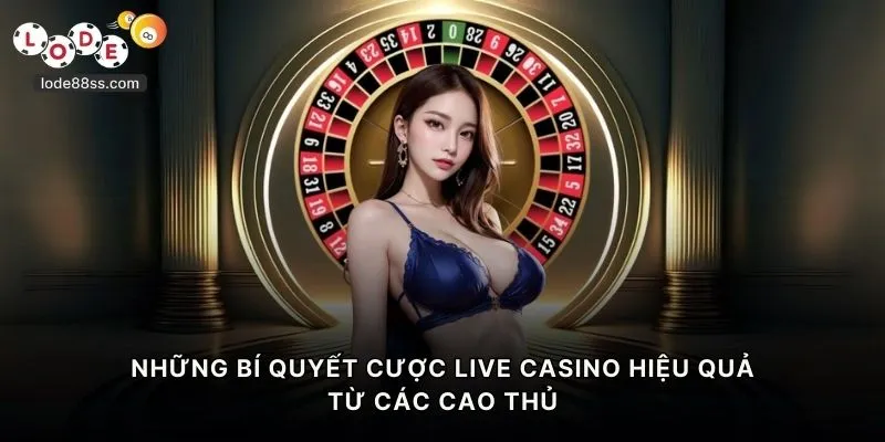 Những bí quyết cược live casino hiệu quả từ các cao thủ
