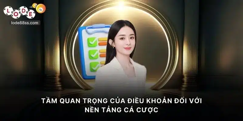 Tầm quan trọng của điều khoản đối với nền tảng cá cược