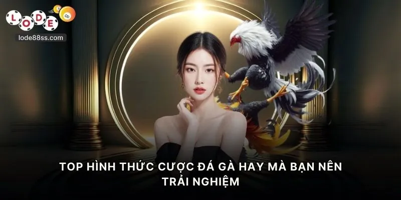 TOP hình thức cược đá gà hay mà bạn nên trải nghiệm